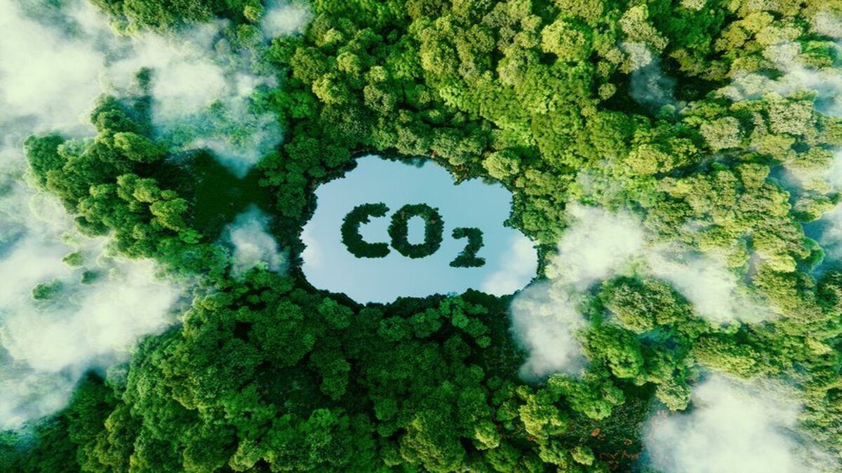 What Should Manufacturers Do After Completing a Carbon Inventory?